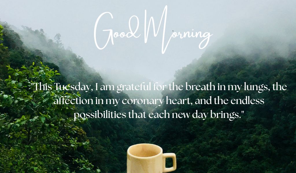 Grateful Vibes Thankfulness on happy Tuesday